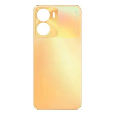 Back Panel Cover for Vivo Y56 - Orange